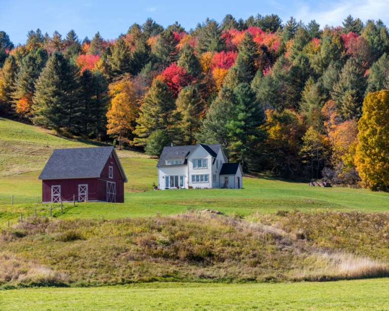 Home Country Boy Realty