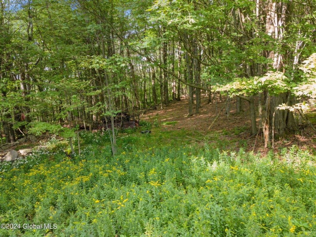 2468 Tower Mountain Road Country Boy Realty